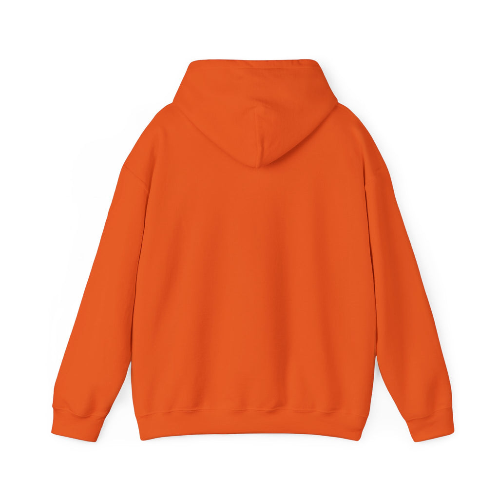 La Puissance Musicale Vintage Hoodie